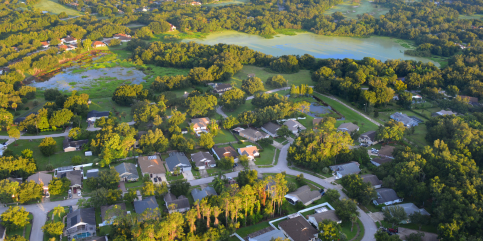 Markham Woods